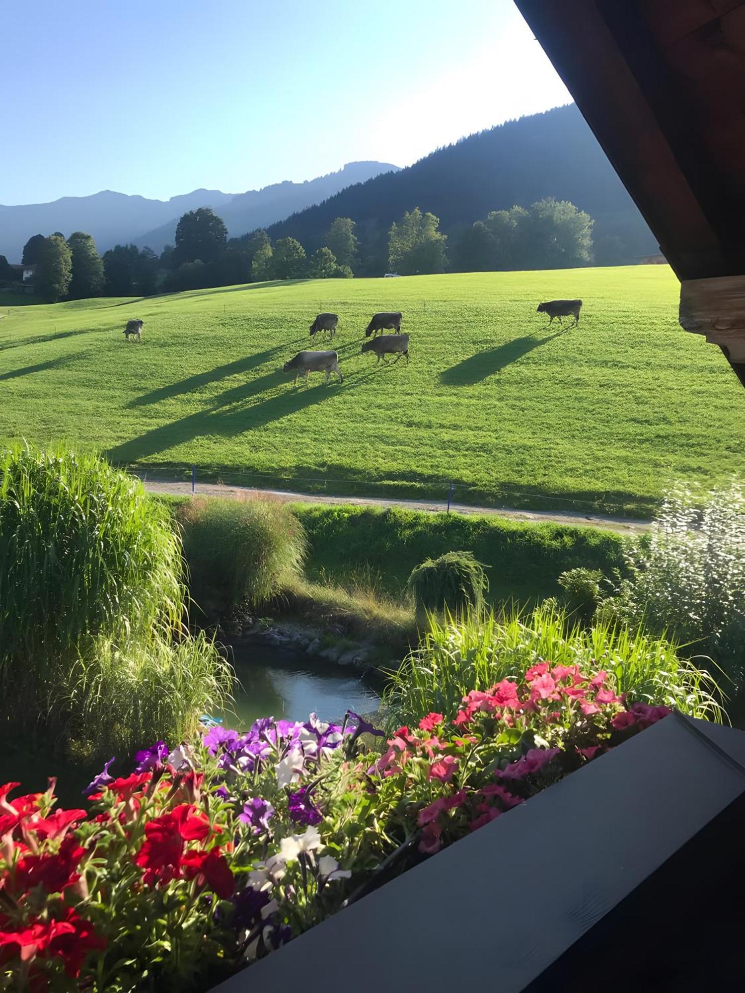 Ferienwohnung Langeck Maria Alm am Steinernen Meer Exteriér fotografie