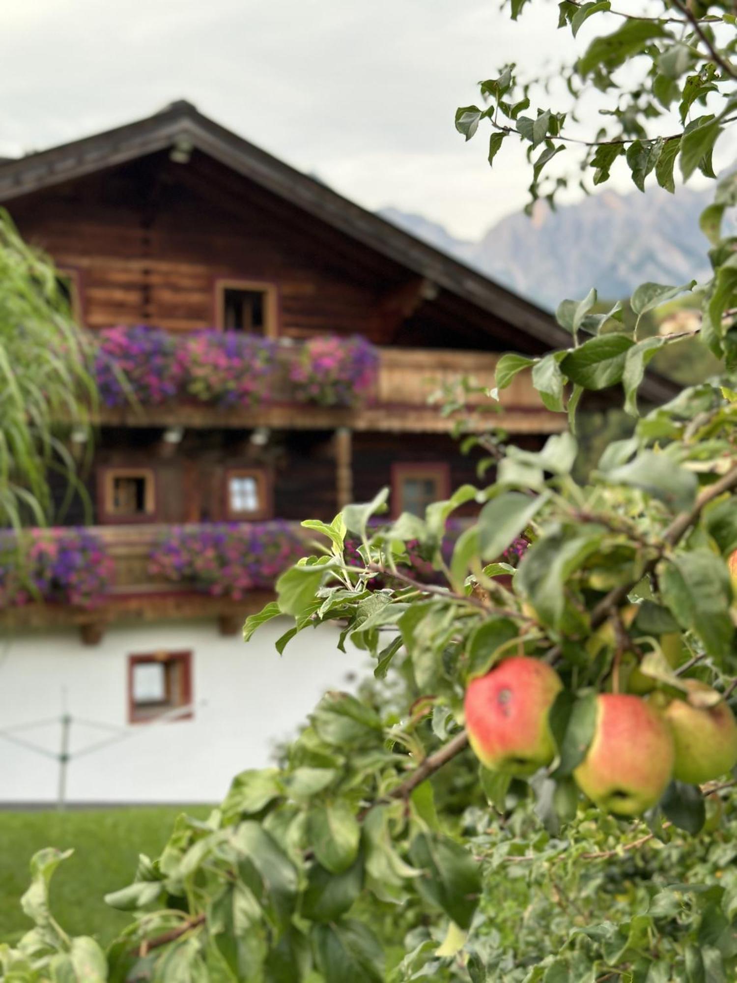 Ferienwohnung Langeck Maria Alm am Steinernen Meer Exteriér fotografie